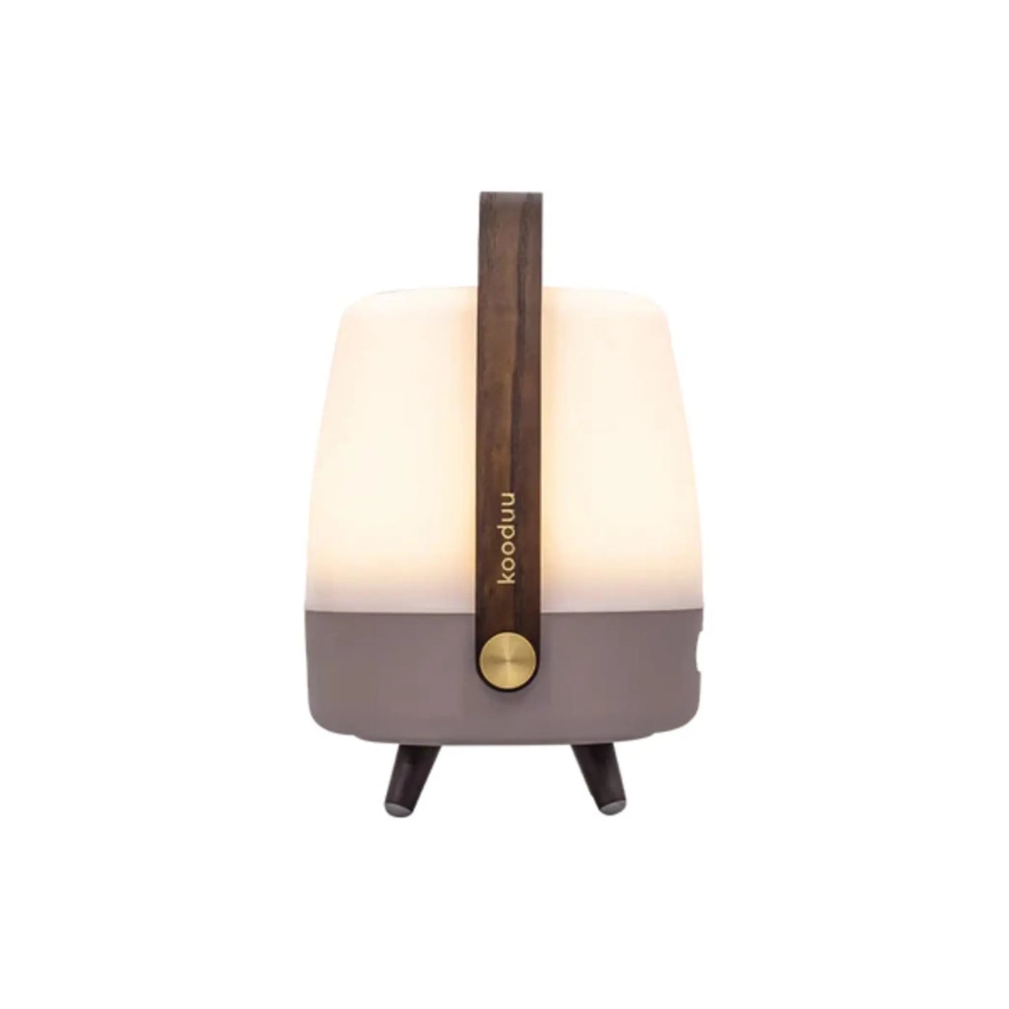 Kooduu Lite-up Play Mini JBL Earth